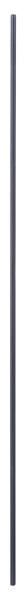 BOSCH Führungsstange für Bosch-Oberfräsen,10 x 800 mm
