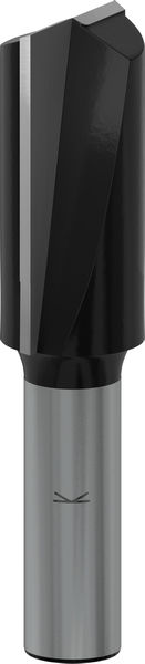 BOSCH PRO Nutfräser, zweischneidig, Ø 20 x L 40, Schaft 12 mm