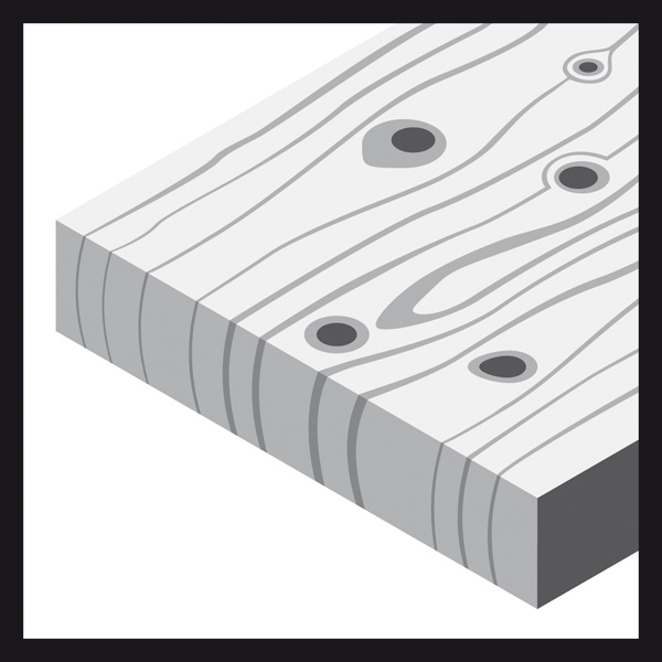 BOSCH Schleifblatt J450 Expert for Wood and Paint, 115 mm x 5 m, G320