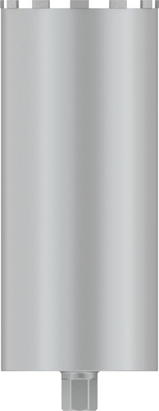 BOSCH PRO Nassbohrkrone, 202 x 450 mm, G 1 1/4 Zoll UNC
